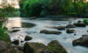 pêche bord de rivière