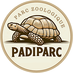 partenaire logo