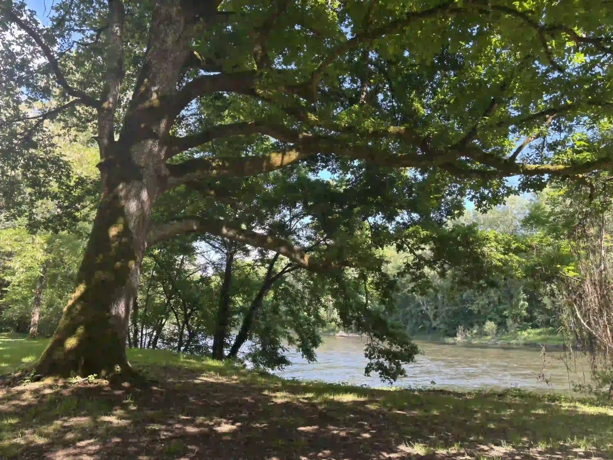 berge de la dordogne accessible depuis le camping pour la pêche